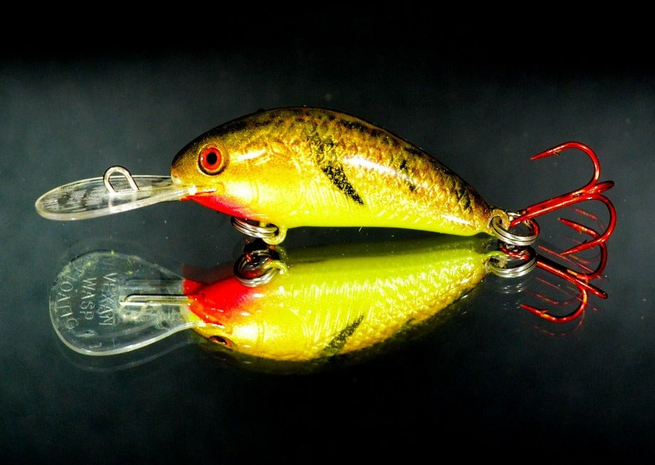 Rattlin Wasps 1-24 — Coot's Lures